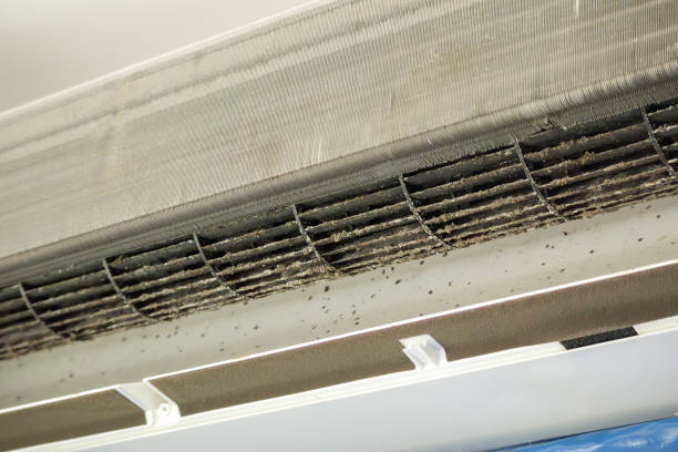 Best Best Air Duct Cleaning Company  in College Park, MD